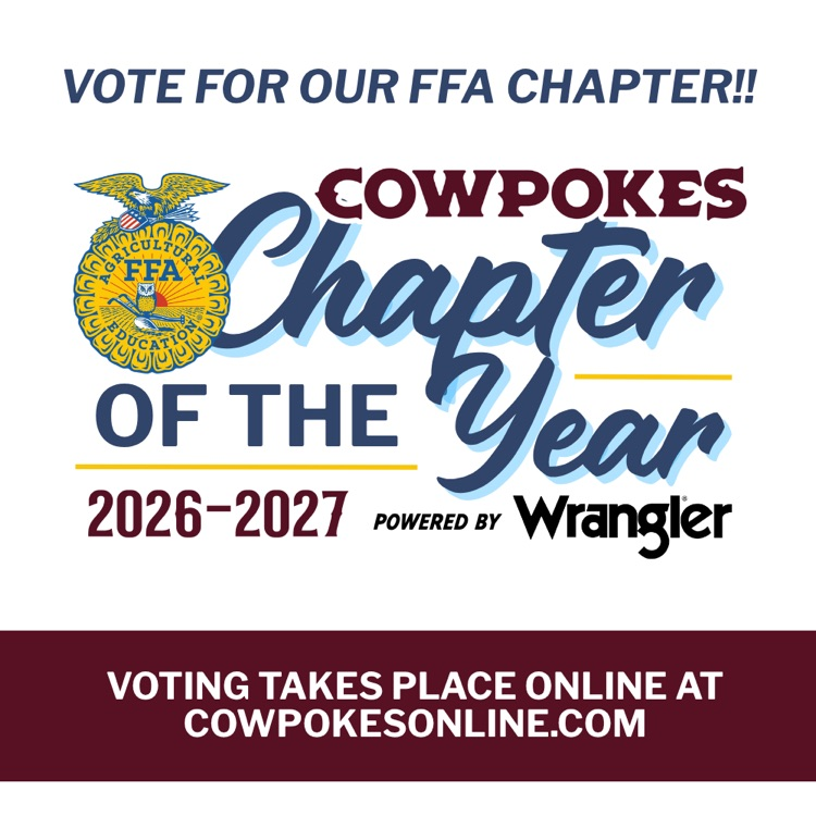 ffa chapter of the year 