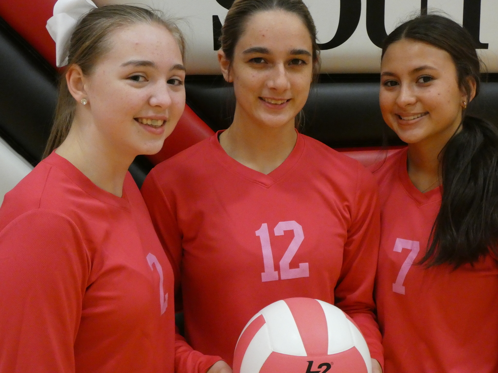 Three Volleyball Players