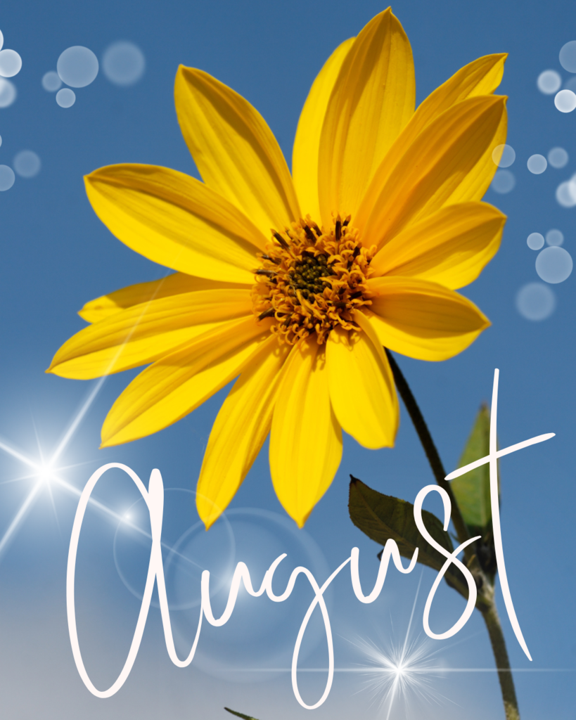 08/15/25 Daily Announcements