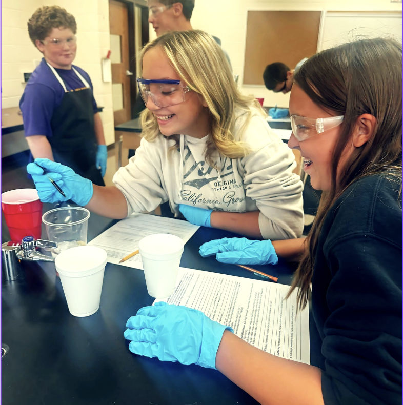 Iodine Starch Lab