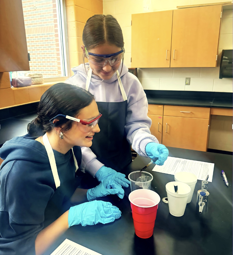 Iodine Starch Lab