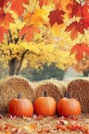 10/28/25 Daily Announcements