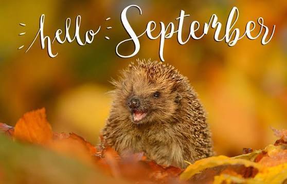September 7th-11th Weekly Announcements
