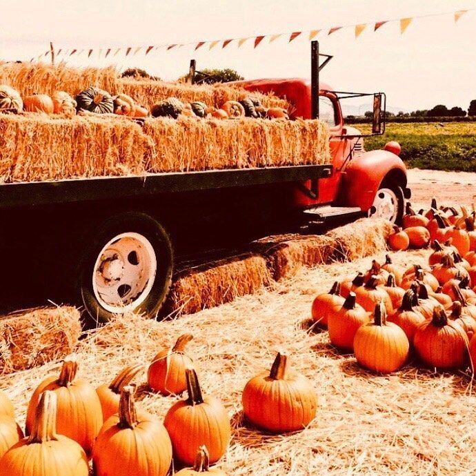 October 19th-23rd Weekly Announcements