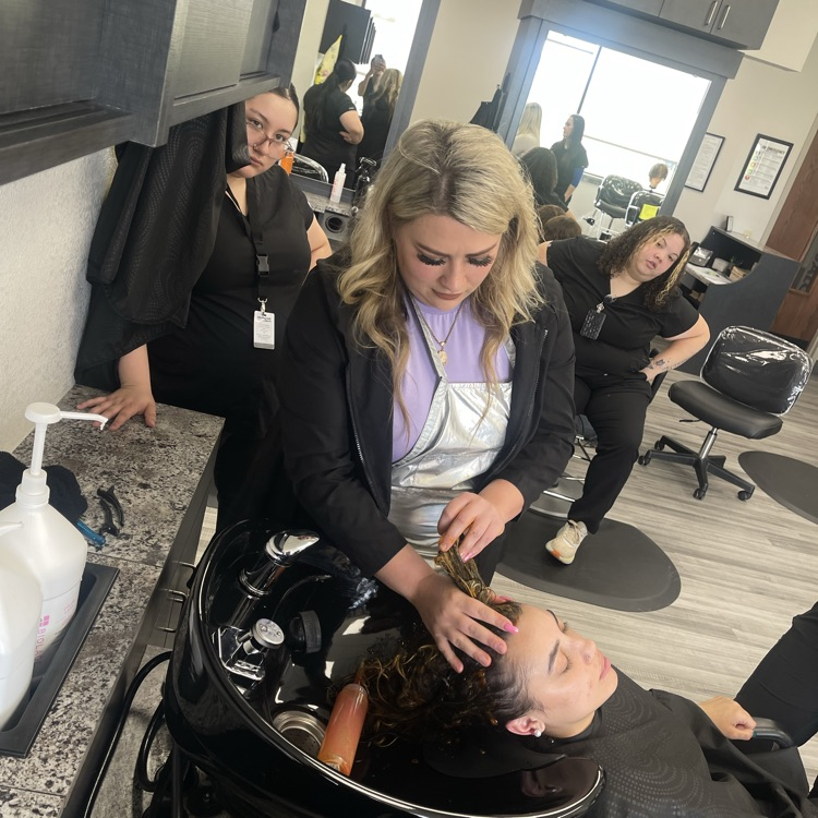 students watching hair toning in wash bowl