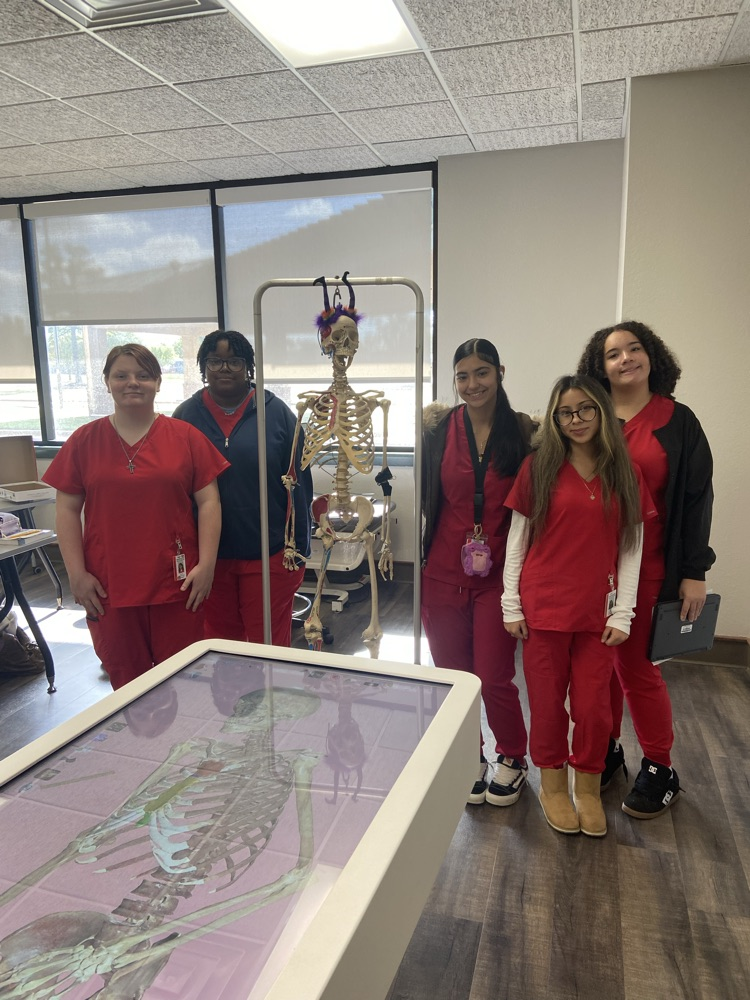 learning on mr.bones