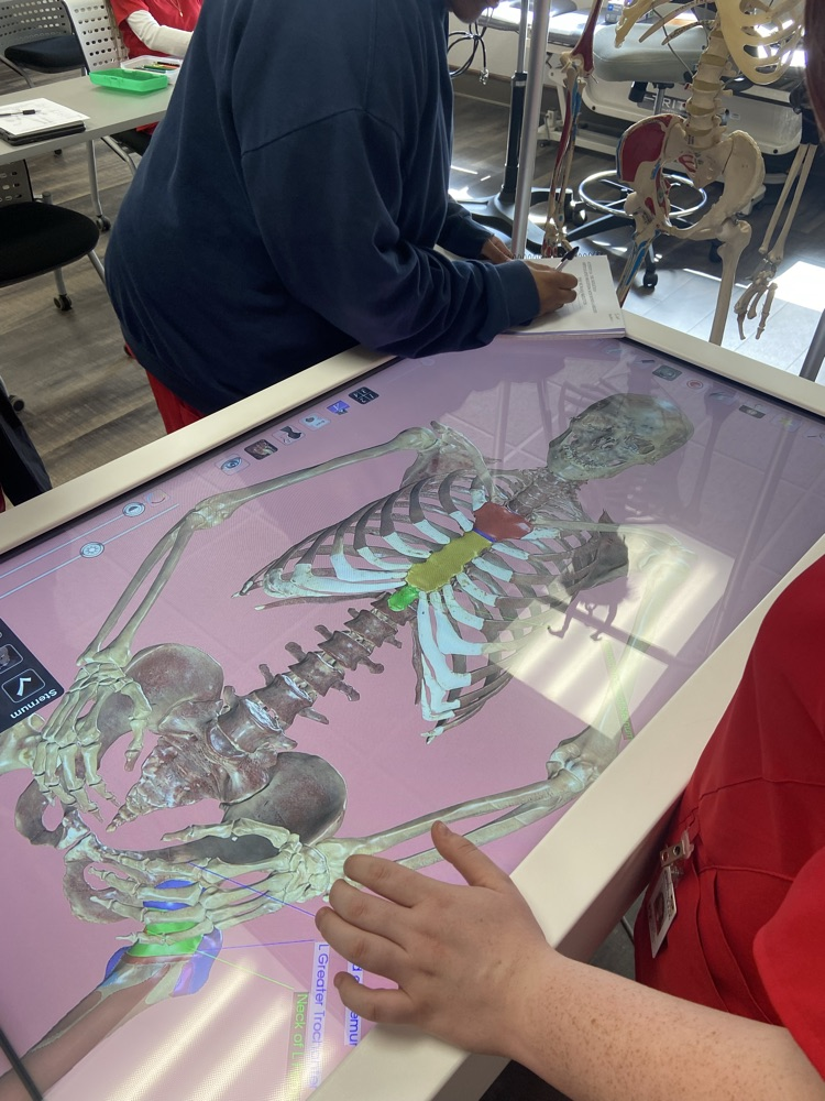 Anatomage bored