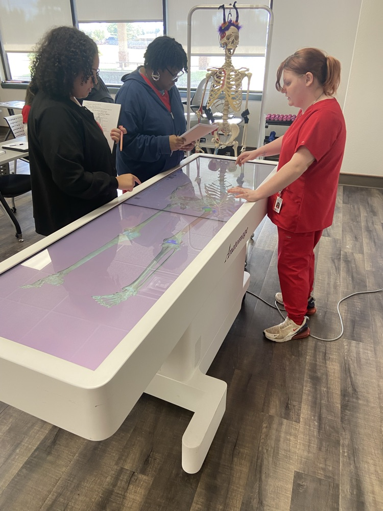 them learning the bones