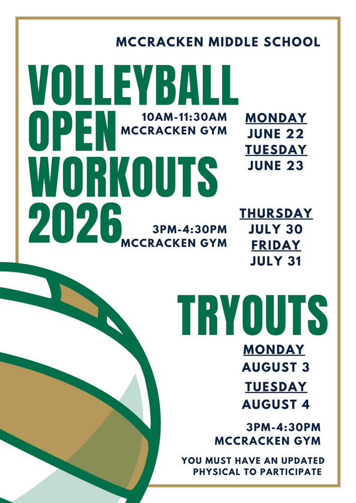 Volleyball Info Flier