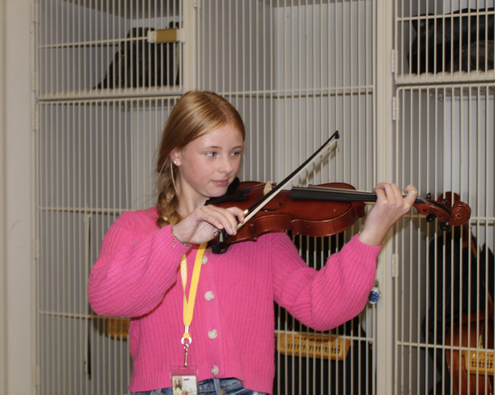 girl with violin