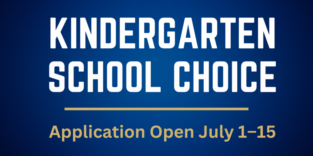 Kindergarten school choice graphic