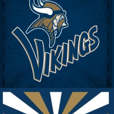 Vikings shine