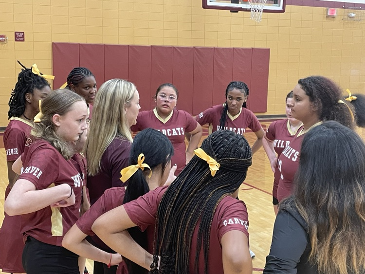 Carver Volleyball vs Gaffney