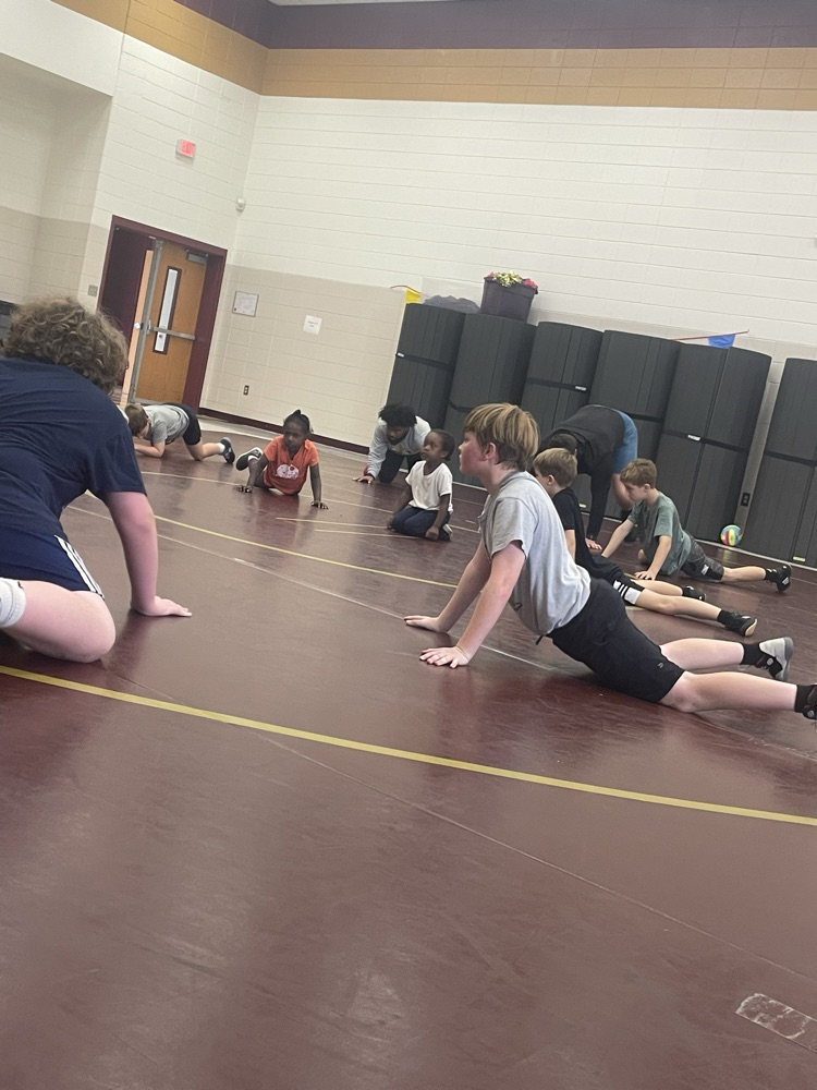 Viking Youth Wrestling Clinic