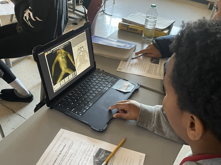 Body systems - 6th grade science