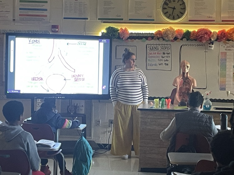 Body systems - 6th grade science