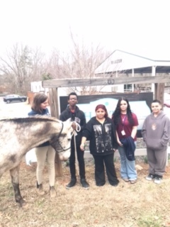 students with horse