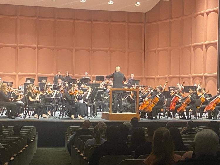 Chamber Orchestra Furman Concerto Concert