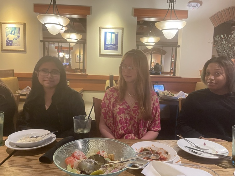 Chamber Orchestra Furman Concerto Concert