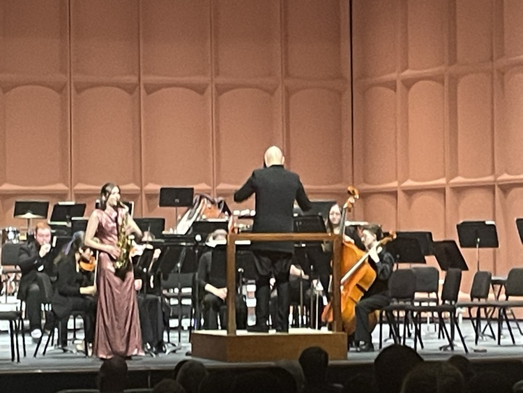 Chamber Orchestra Furman Concerto Concert