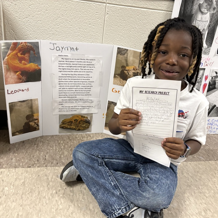 Spring learning at its best