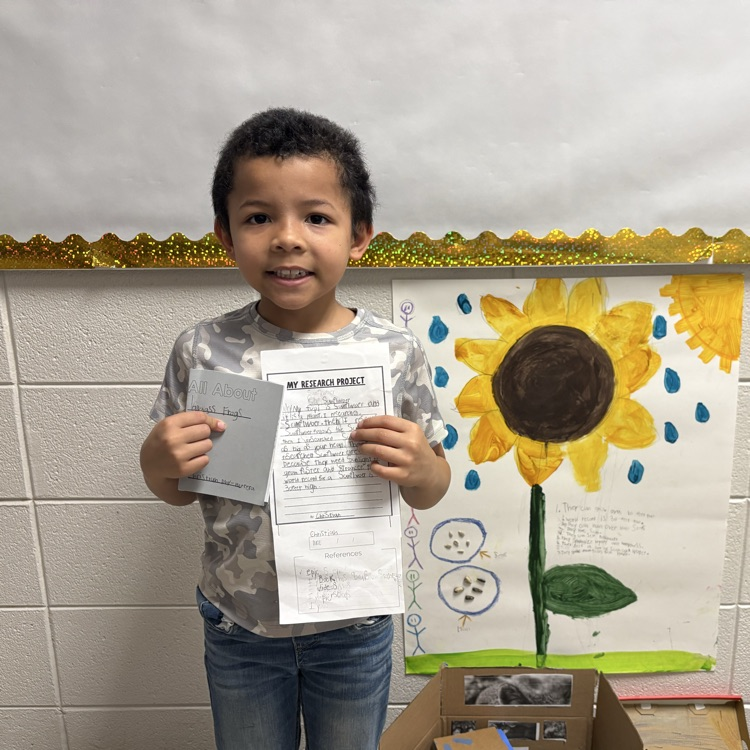 Spring learning at its best