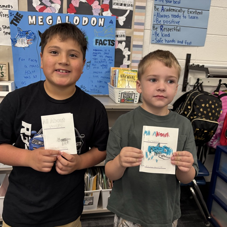 Spring learning at its best