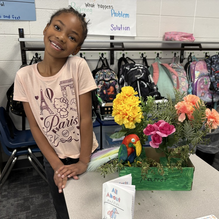 Spring learning at its best