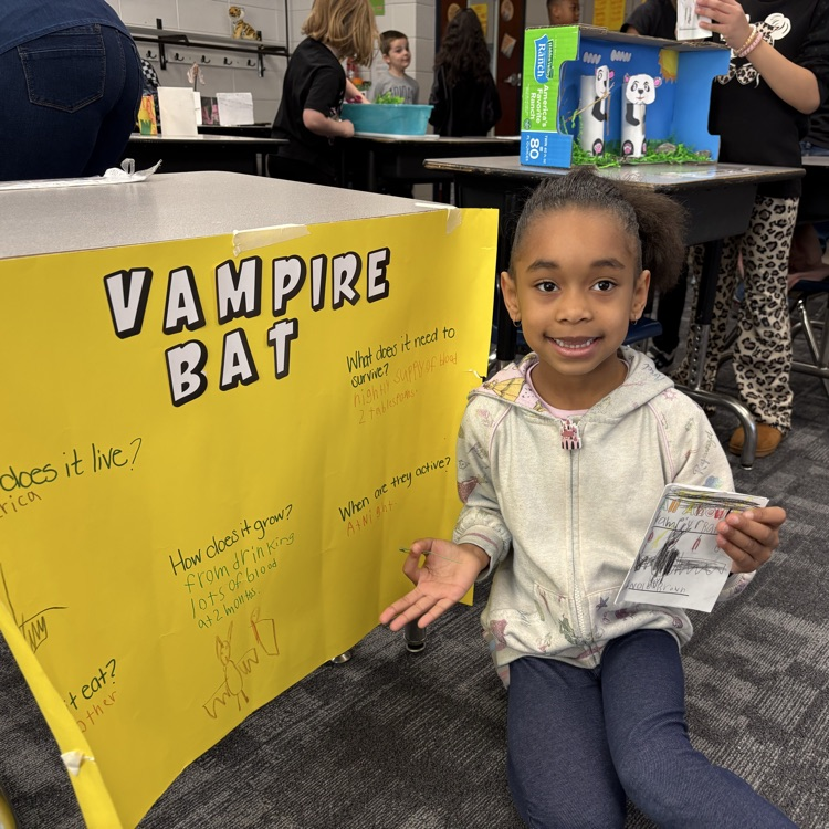 Spring learning at its best