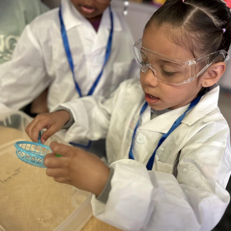 Little Scientists at Work!