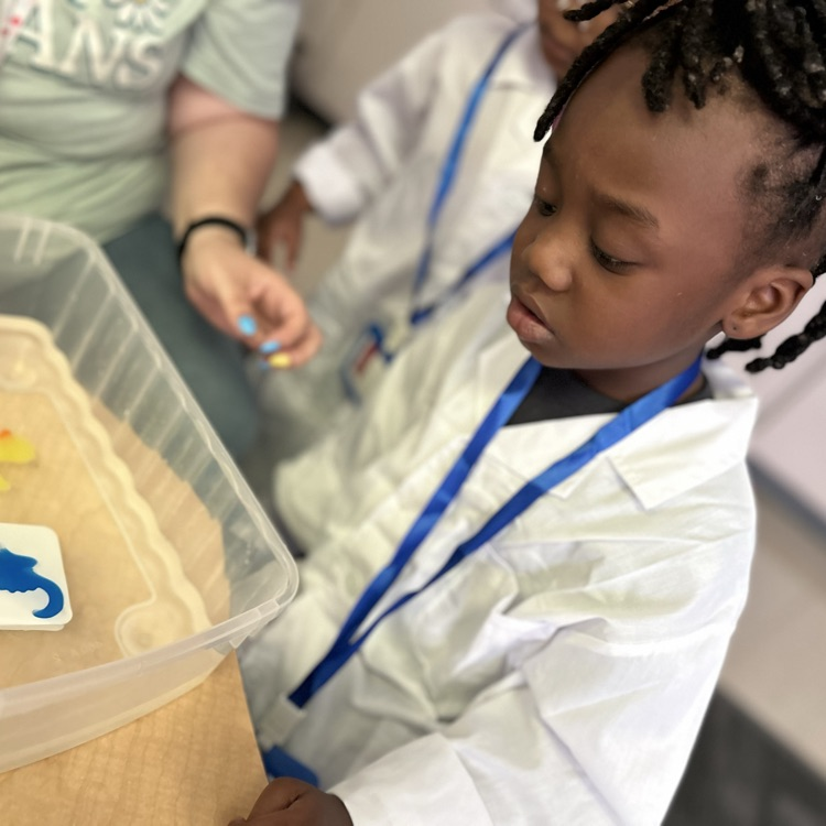 Little Scientists at Work!