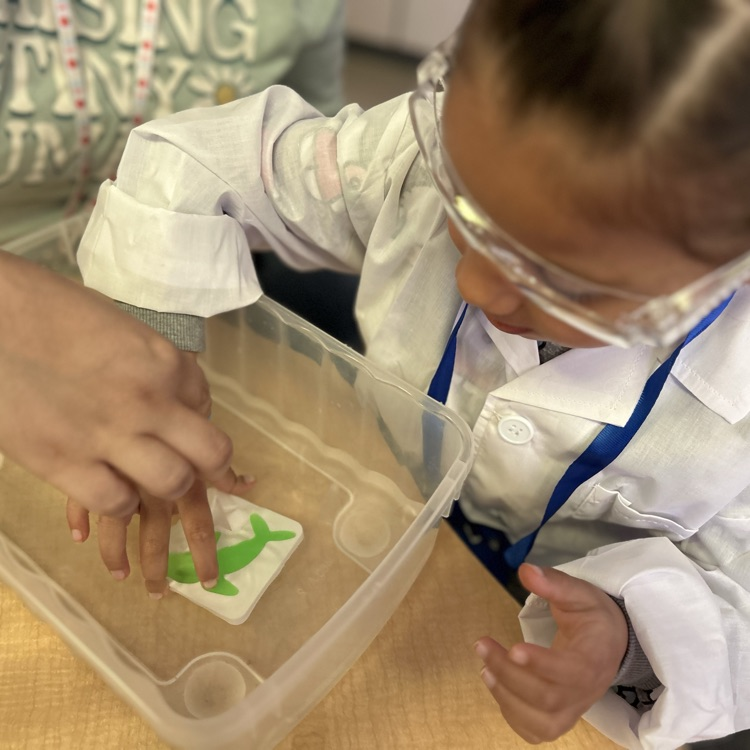 Little Scientists at Work!