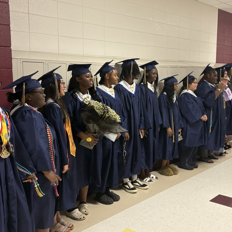 Wildcats Excelling