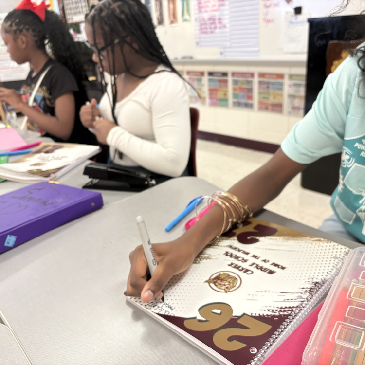 AVID Organization - Planner Activity