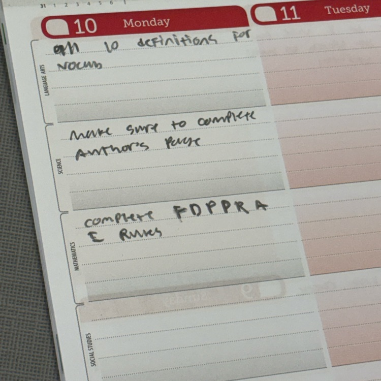AVID Organization - Planner Activity