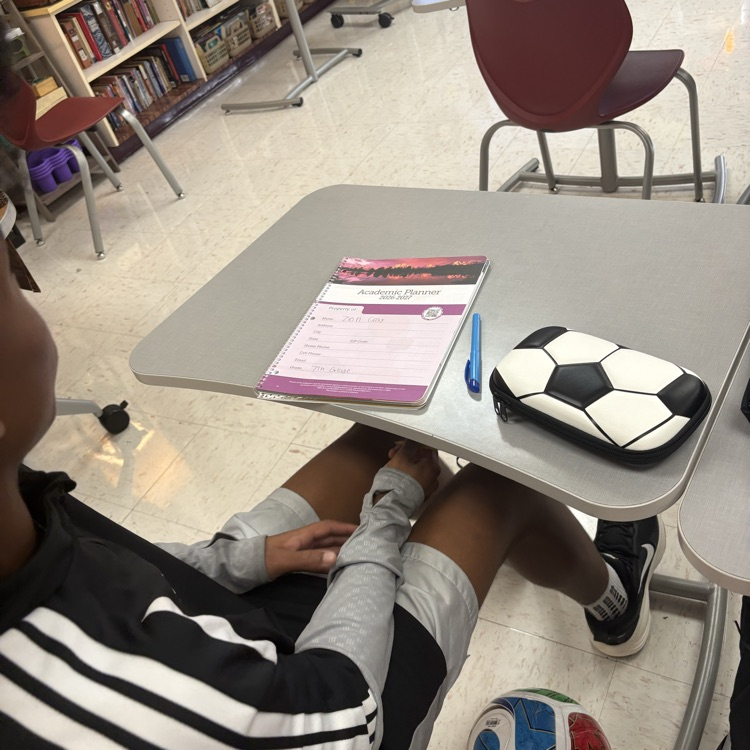AVID Organization - Planner Activity