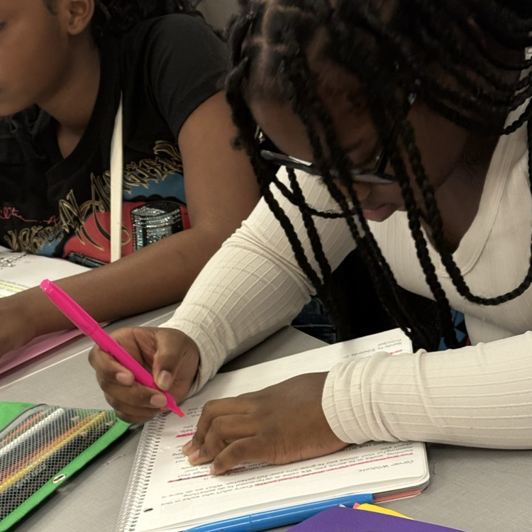 AVID Organization - Planner Activity