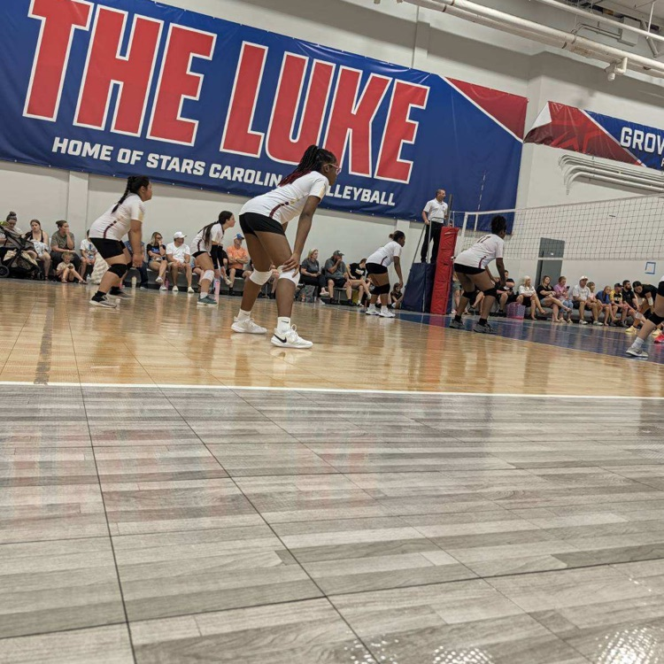 Wildcat Volleyball