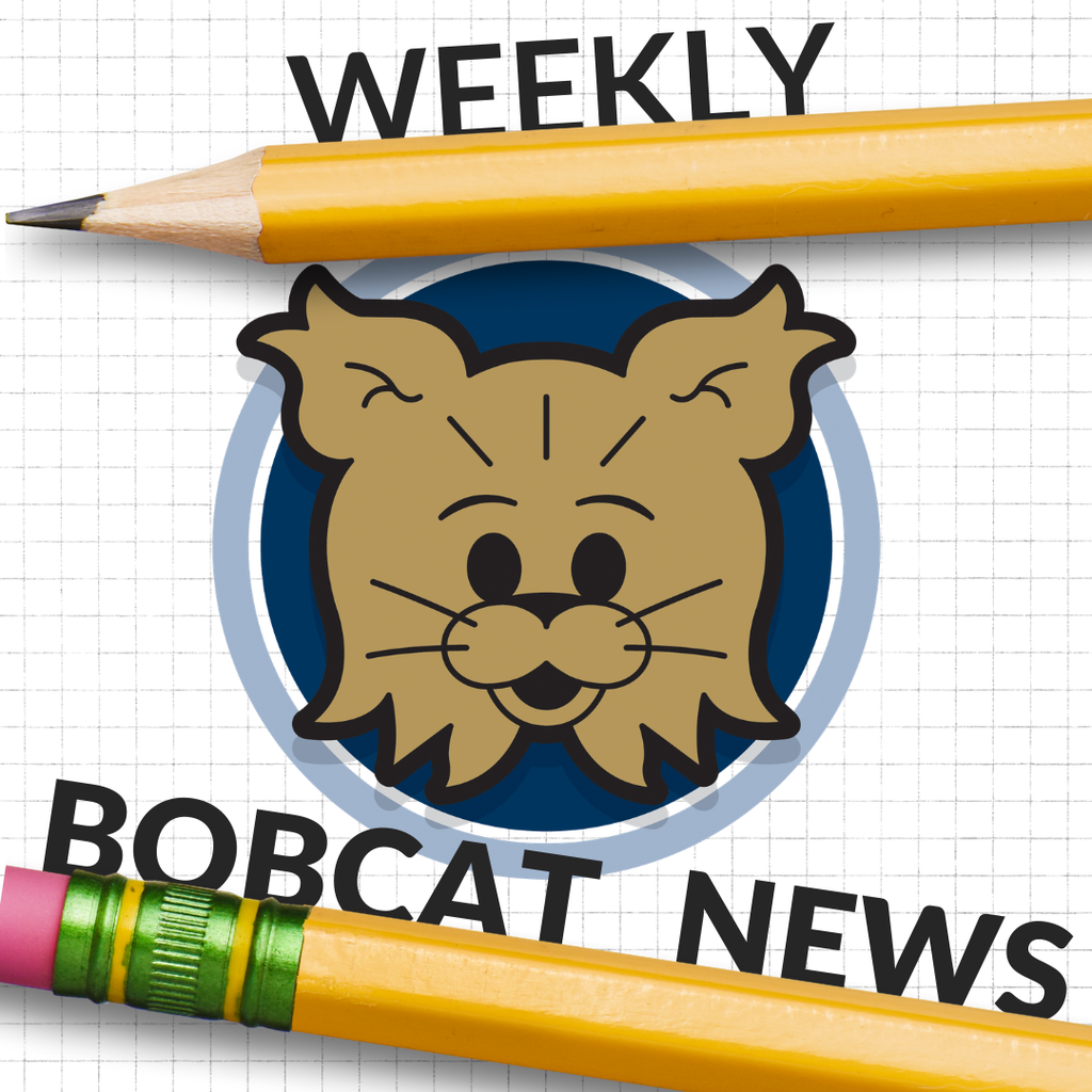 bobcat