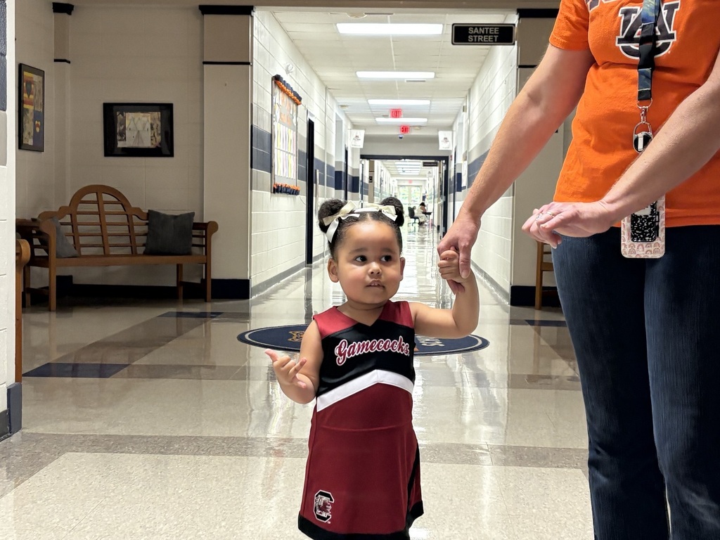 College Colors Day
