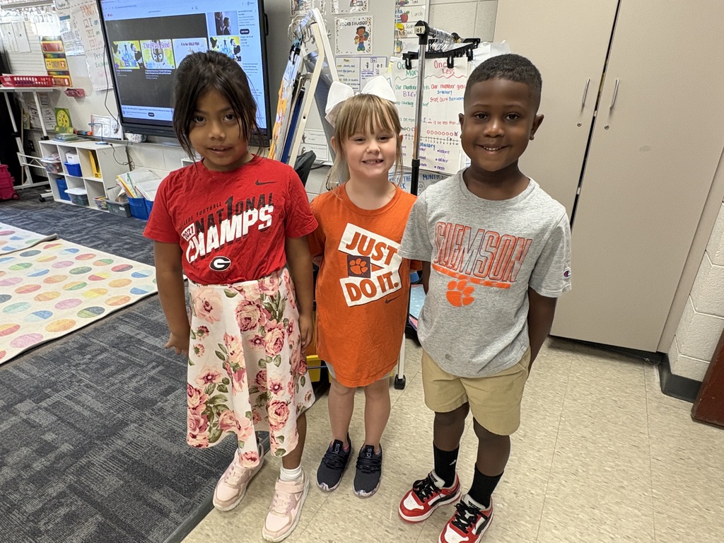 College Colors Day