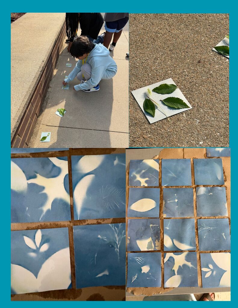 photos of cyanotypes