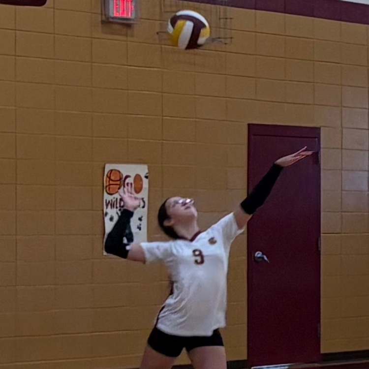 Carver Volleyball 