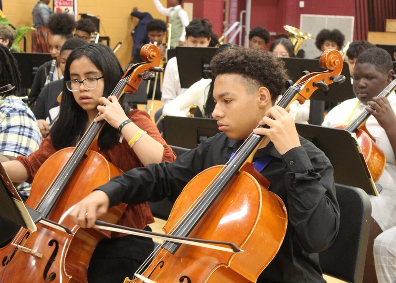 musicians
