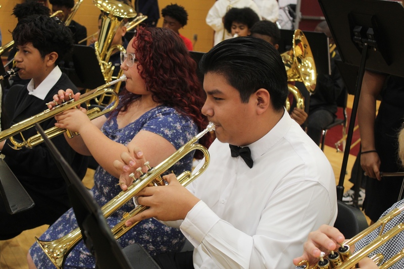 musicians