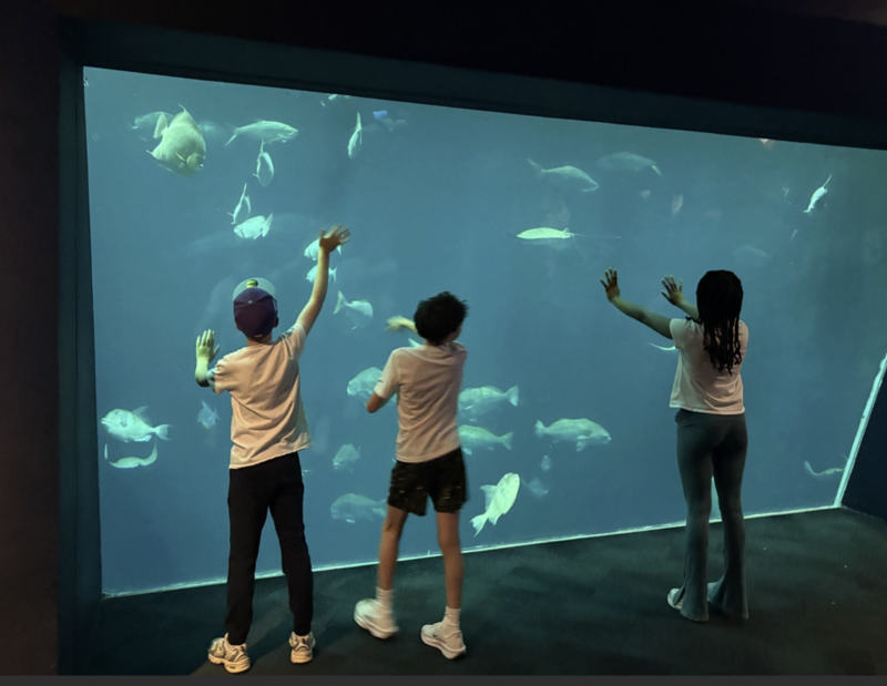 aquarium