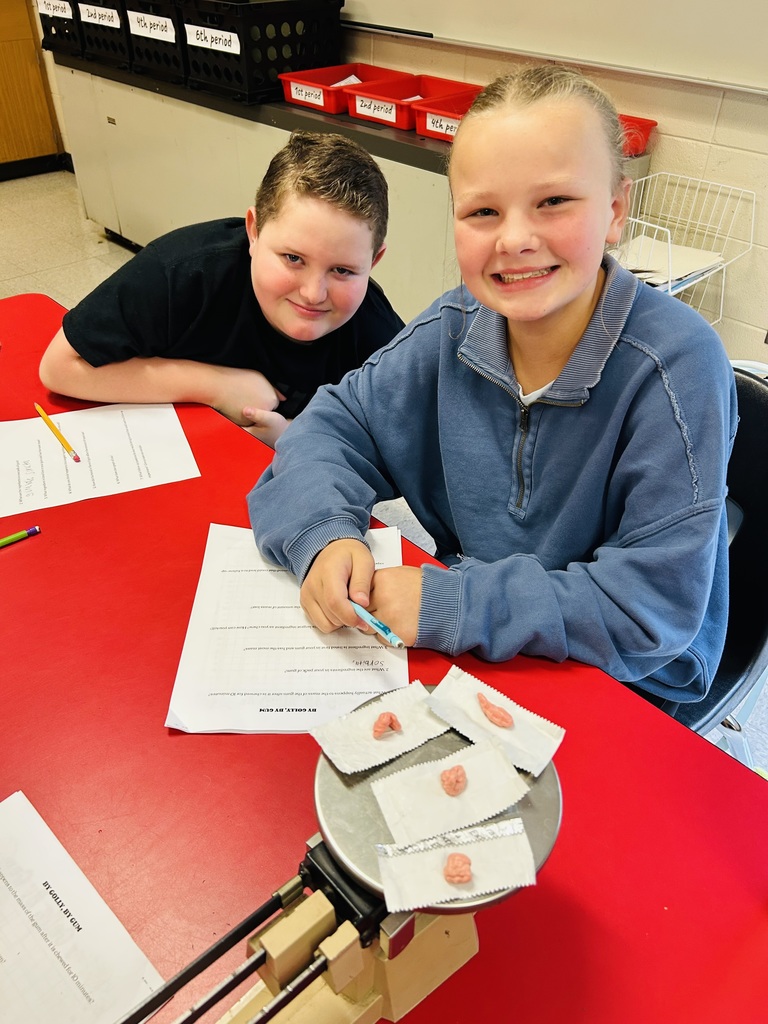 LMS 6th grade science students
