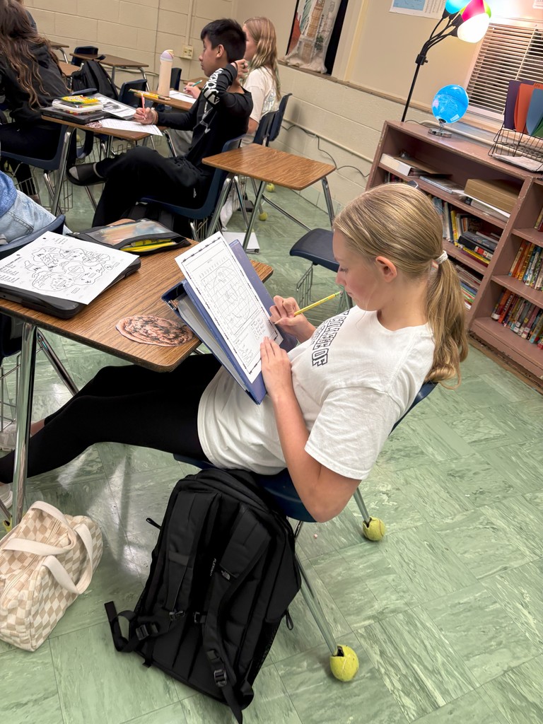 LMS 7th grade social studies students