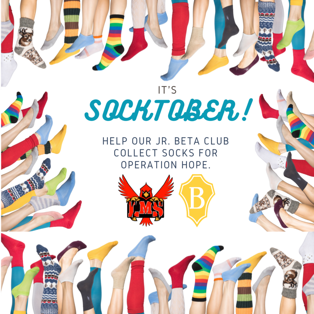 LMS Socktober