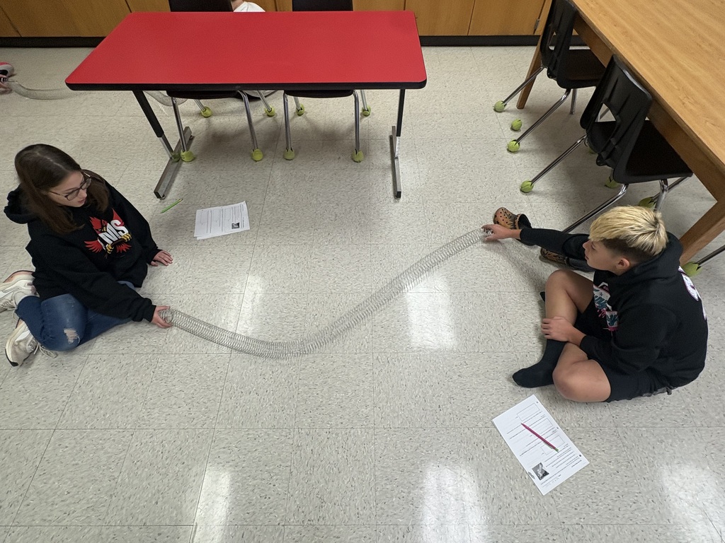 LMS 6th grade science students